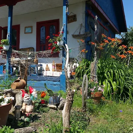 Casa Delta 106 3* Sfântu Gheorghe