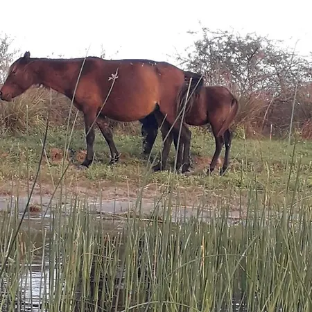 Casa Delta 106 Parc de vacanță 3*