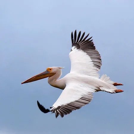 Casa Delta 106 Parc de vacanță 3*