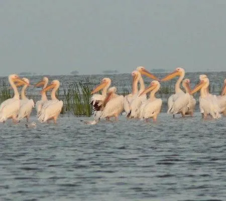 Casa Delta 106 Parc de vacanță