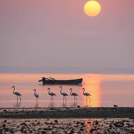 Casa Delta 106 Holiday park