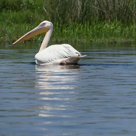 Parc de vacanță Casa Delta 106 Sfântu Gheorghe