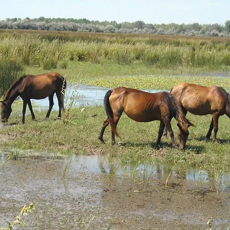 Parc de vacanță Casa Delta 106