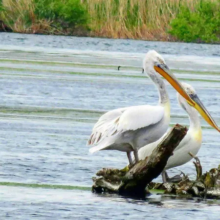 Holiday park Casa Delta 106