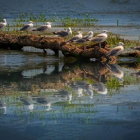 Parc de vacanță Casa Delta 106 Sfântu Gheorghe