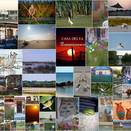 Casa Delta 106 Parc de vacanță