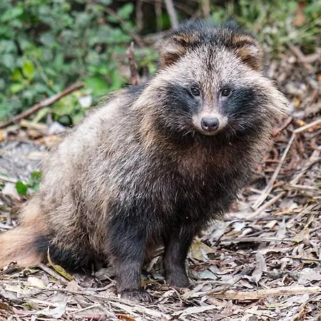 Parc de vacanță Casa Delta 106