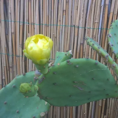 Holiday park Casa Delta 106