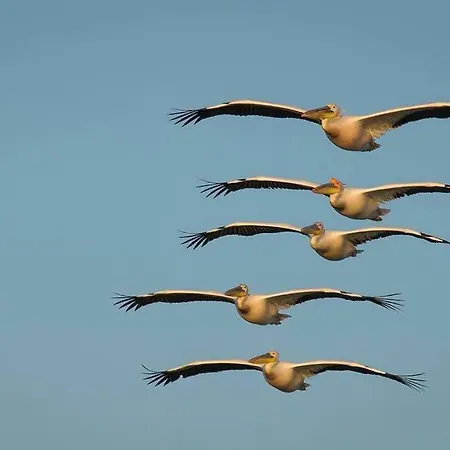 Casa Delta 106 Parc de vacanță 3*